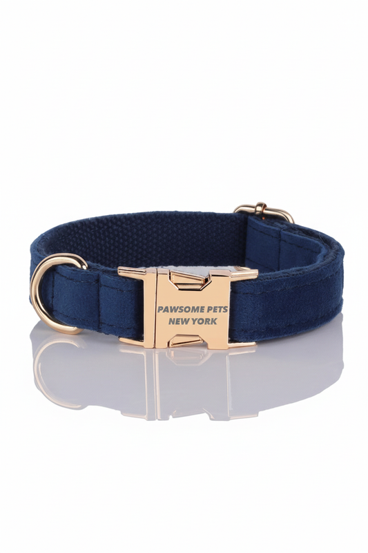 Close up navy blue nylon collar gold buckle PAWSOME PETS logo detail